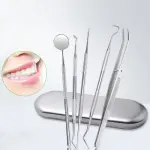 Set di Igiene Dentale in Acciaio Inossidabile - 5 Strumenti Essenziali