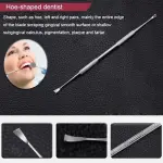 Set di Igiene Dentale in Acciaio Inossidabile - 5 Strumenti Essenziali