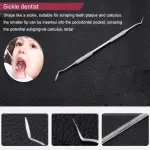 Set di Igiene Dentale in Acciaio Inossidabile - 5 Strumenti Essenziali