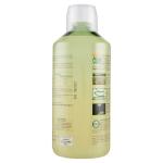 Jus d'aloe vera et gingembre, Equilibra, 1 L