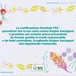 Asciugoni Regina papier essuie-tout, 2 rouleaux 2 plis, papier 100% certifié FSC
