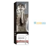 Colonne de douche 